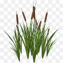 Íø¼ÊÍøÂ·-¿ÕÈôÍø Íø¼ÊÍøÂ·-¿ÕÈôÍø