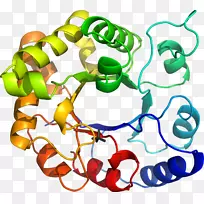 人体珠宝有机体线条剪贴画-农业下巴-空若网 人体珠宝有机体线条剪贴画-农业下巴-空若网