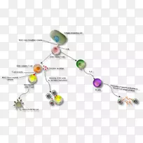 ����ϵͳ���̲�����ȱ�ݲ���-���఩֢����ϸ����-������