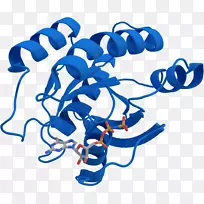 KRAS ras�Ǽ���GTPase������-����-������