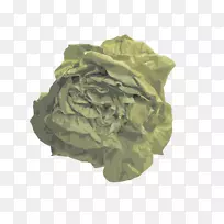 蔬菜水果-载体甘蓝-空若网 蔬菜水果-载体甘蓝-空若网