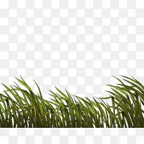 �����-������