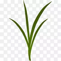 ������-�̲�-������