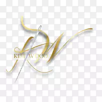 时尚作物头饰-空若网 时尚作物头饰-空若网