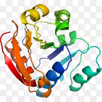人体珠宝系列有机体剪贴画-紫花苜蓿-空若网 人体珠宝系列有机体剪贴画-紫花苜蓿-空若网