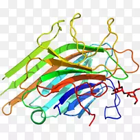 线树点剪贴画-紫花苜蓿-空若网 线树点剪贴画-紫花苜蓿-空若网