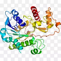生物线动物剪贴画-紫花苜蓿-空若网 生物线动物剪贴画-紫花苜蓿-空若网