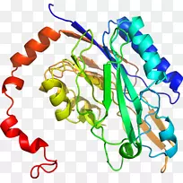 线点生物剪贴画-紫花苜蓿-空若网 线点生物剪贴画-紫花苜蓿-空若网