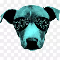 Ȯ�ֱǳ�-������