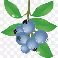 À¶Ý®Ê³Æ·ÆÏÌÑ-À¶Ý®-¿ÕÈôÍø À¶Ý®Ê³Æ·ÆÏÌÑ-À¶Ý®-¿ÕÈôÍø