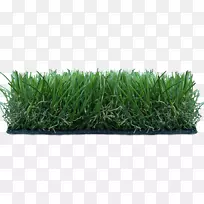 �����ƺ��ħ��ʮ���أ�NV�ϳ���ά-���-������