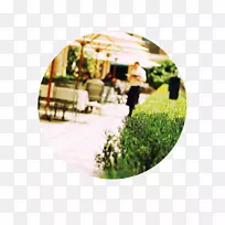 汽水饮料餐厅存货摄影巴士快餐业-空若网 汽水饮料餐厅存货摄影巴士快餐业-空若网