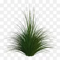 草下载-绿草-空若网 草下载-绿草-空若网