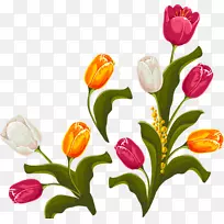 郁金香花卉设计-空若网 郁金香花卉设计-空若网
