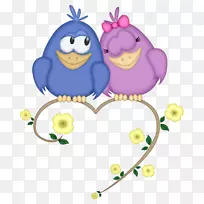 引用youtube的爱情鸟-空若网 引用youtube的爱情鸟-空若网