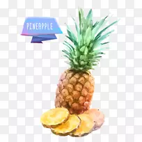 一幅水彩画-菠萝-空若网 一幅水彩画-菠萝-空若网