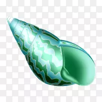 牡蛎海鲜-漂亮的海螺-空若网 牡蛎海鲜-漂亮的海螺-空若网