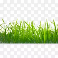 ����lcd����������ܵ���1080 p�̲�-������