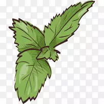 叶薄荷涂上薄荷叶-空若网 叶薄荷涂上薄荷叶-空若网