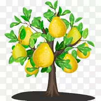 亚洲柠檬梨u9999u68a8u5bbeu 9986-梨-空若网 亚洲柠檬梨u9999u68a8u5bbeu 9986-梨-空若网