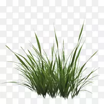 ����ӳ������������ֽ����������-������