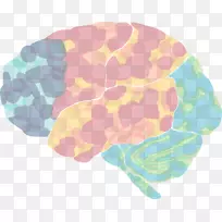 �ۺ��񾭿�ѧǰ��ý���ѧ�ڿ��������ܡ�-������