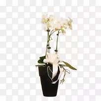 �ɶ�����ͼ���л���ƿװ������-������