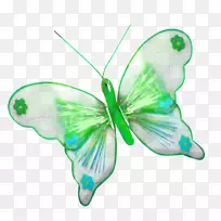 蝴蝶昆虫剪贴画.原木纹理-空若网 蝴蝶昆虫剪贴画.原木纹理-空若网