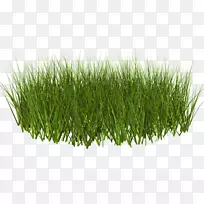 草坪草剪贴画-草场剪贴画-空若网 草坪草剪贴画-草场剪贴画-空若网