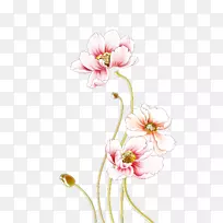 ĵ��ǽ��ĵ��-������