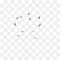 鸟类迁徙图片艺术摄影棚贴纸-鸽子飞行材料-空若网 鸟类迁徙图片艺术摄影棚贴纸-鸽子飞行材料-空若网