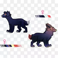 ����ͨ����ë�̿�-������