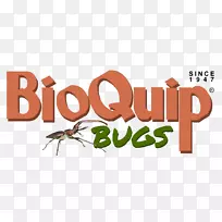 昆虫昆虫学是无脊椎动物学的基本术语表。科叶标本-空若网 昆虫昆虫学是无脊椎动物学的基本术语表。科叶标本-空若网