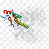 动物剪贴画-如意-空若网 动物剪贴画-如意-空若网