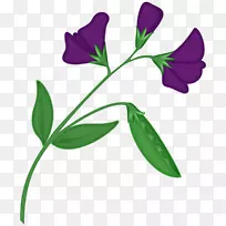 �㶹�����ֻ��㶹��-������