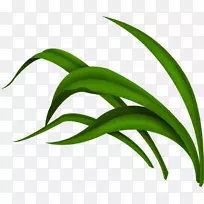 ��ɫ���ض�Ƭ����-�̲�-������