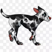 达尔马提亚犬繁殖非运动团体尾巴温和-空若网 达尔马提亚犬繁殖非运动团体尾巴温和-空若网