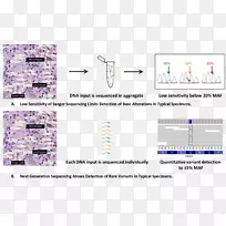 大规模并行DNA测序癌症基因组测序桑格测序-癌症变异细胞-空若网 大规模并行DNA测序癌症基因组测序桑格测序-癌症变异细胞-空若网
