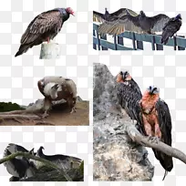 ͺ�ն���Ұ���������찮��-������