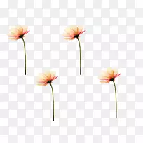 花瓣开花植物茎-90-空若网 花瓣开花植物茎-90-空若网