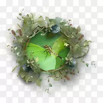 草木坐骑花环-空若网 草木坐骑花环-空若网