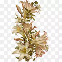 插花艺术-胜利撒花-空若网 插花艺术-胜利撒花-空若网