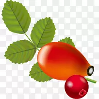 玫瑰果莓夹子艺术-鳄梨材料-空若网 玫瑰果莓夹子艺术-鳄梨材料-空若网