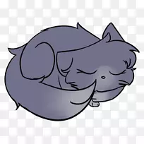 胡须,小猫,狗鼻子,猫肉豆-空若网 胡须,小猫,狗鼻子,猫肉豆-空若网