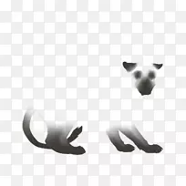 狗猫鼻子-风暴羽毛颜色-空若网 狗猫鼻子-风暴羽毛颜色-空若网