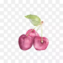 樱桃蛋糕-樱桃-空若网 樱桃蛋糕-樱桃-空若网