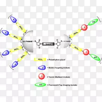 �����ҩ��״�����ҩ���������-��ɫ������-������