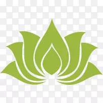 Nelumbo nucifera»æÍ¼°æË°-ºÉÒ¶-¿ÕÈôÍø Nelumbo nucifera»æÍ¼°æË°-ºÉÒ¶-¿ÕÈôÍø