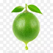 果汁鸡尾酒玛格丽塔柠檬树-空若网 果汁鸡尾酒玛格丽塔柠檬树-空若网