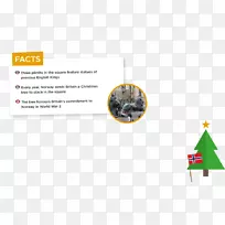 Ʒ�Ʊ�־����-�׶�-������